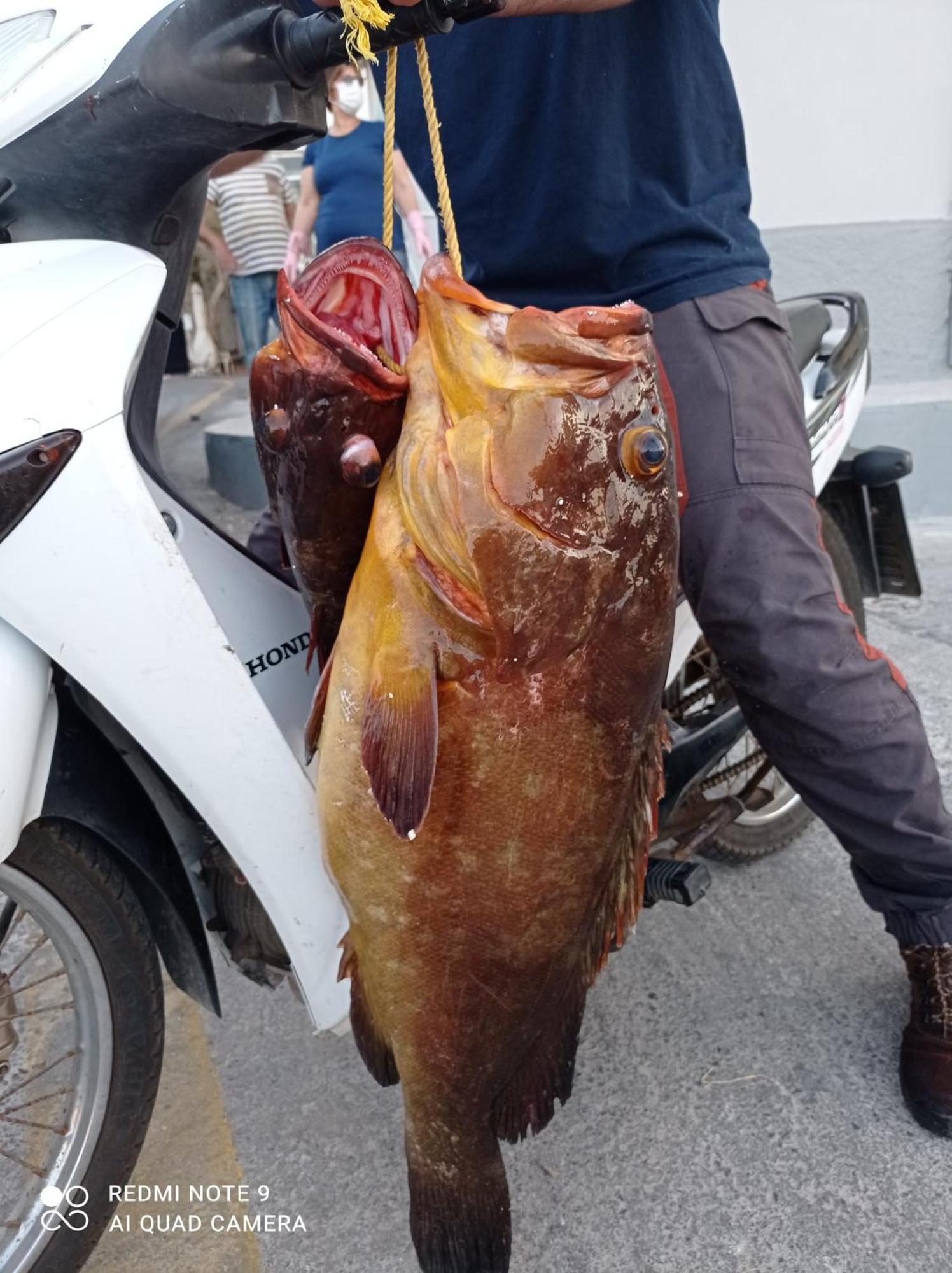 Kasos Palace Fry Ngoại thất bức ảnh